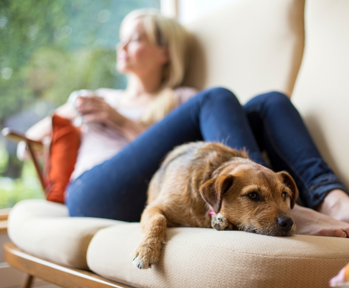 Homeowner relaxing at home after completing the mortgage process