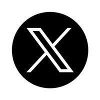 X icon link